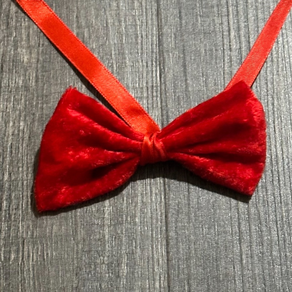 💞 Red Velvet Tie on Bow Tie for Costumes & Dress Up